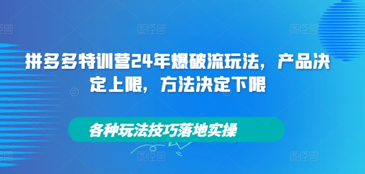 拼多多特训营24年爆破流玩法，产品决定上限，方法决定下限，各种玩法技巧落地实操-一起网赚吧