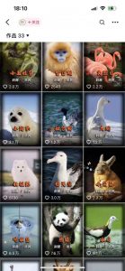 动物科普解说项目，撸创作者伙伴计划收益，保姆级实战教程-一起网赚吧