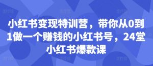 小红书变现特训营，带你从0到1做一个赚钱的小红书号，24堂小红书爆款课-一起网赚吧