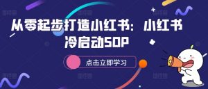 从零起步打造小红书：小红书冷启动SOP-一起网赚吧