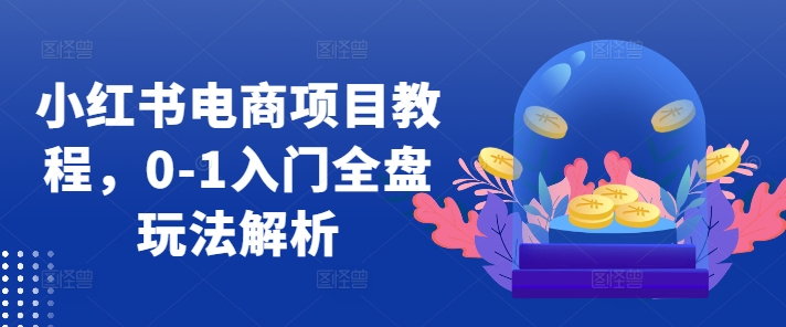 小红书电商项目教程，0-1入门全盘玩法解析-一起网赚吧