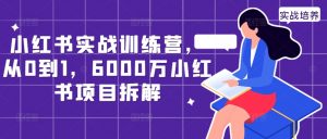 小红书实战训练营，从0到1，6000万小红书项目拆解-一起网赚吧
