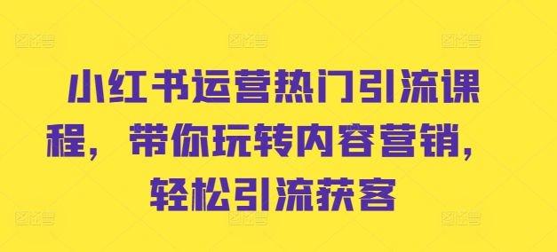 小红书运营热门引流课程，带你玩转内容营销，轻松引流获客-一起网赚吧