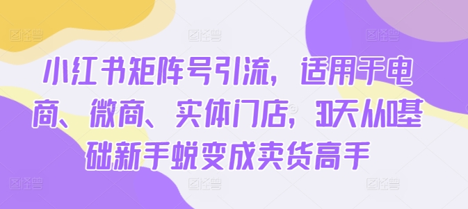 小红书矩阵号引流，适用于电商、微商、实体门店，30天从0基础新手蜕变成卖货高手-一起网赚吧