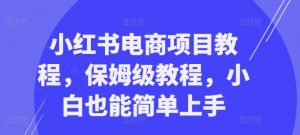小红书电商项目教程，保姆级教程，小白也能简单上手-一起网赚吧