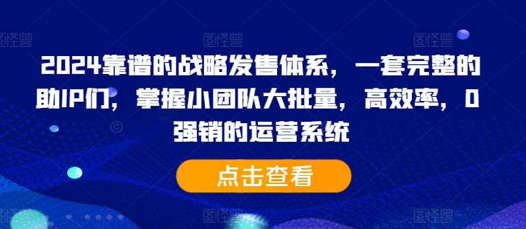 2024靠谱的战略发售体系，一套完整的助IP们，掌握小团队大批量，高效率，0 强销的运营系统-一起网赚吧