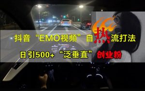 抖音EMO视频自热打法，日引500+“泛垂直”创业粉-一起网赚吧