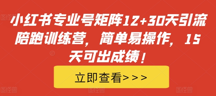 小红书专业号矩阵12+30天引流陪跑训练营，简单易操作，15天可出成绩!-一起网赚吧