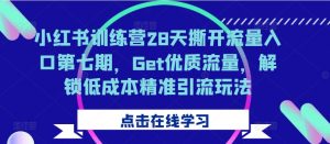 小红书训练营28天撕开流量入口第七期，Get优质流量，解锁低成本精准引流玩法-一起网赚吧