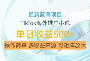 最新蓝海项目,利用tiktok海外推广小说赚钱佣金,简单易学,日入500+,可矩阵放大【揭秘】-一起网赚吧