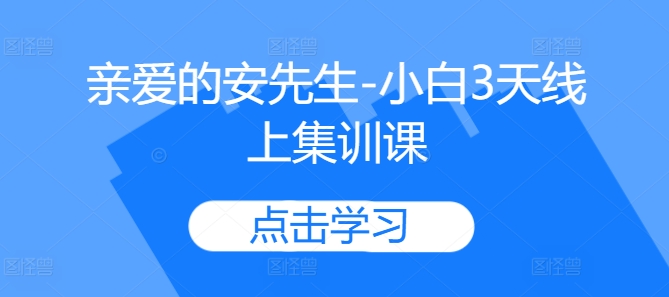 亲爱的安先生-小白3天线上集训课-一起网赚吧