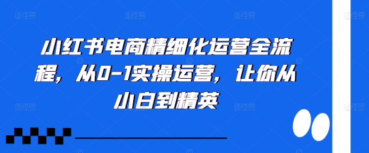 小红书电商精细化运营全流程，从0-1实操运营，让你从小白到精英-一起网赚吧