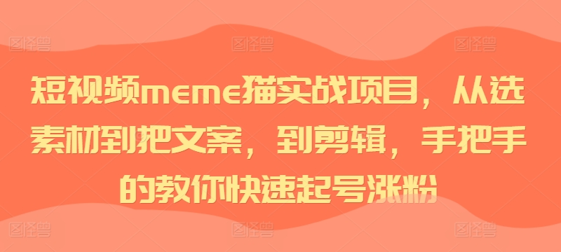 短视频meme猫实战项目，从选素材到把文案，到剪辑，手把手的教你快速起号涨粉-一起网赚吧