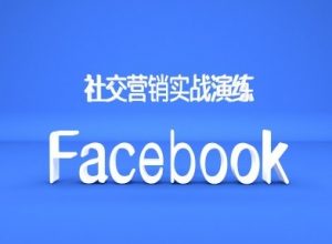 Facebook社交营销实战演练,外贸人绝对不能错过的营销推广平台-一起网赚吧