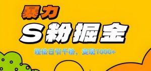 单人单机日引千粉,变现1k+,S粉流量掘金计划攻略【揭秘】-一起网赚吧