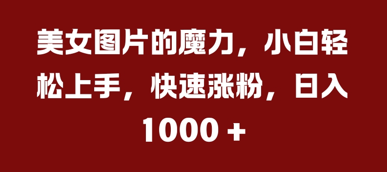 美女图片的魔力，小白轻松上手，快速涨粉，日入几张【揭秘】-一起网赚吧