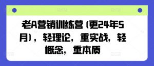 老A营销训练营(更24年10月),轻理论,重实战,轻概念,重本质-一起网赚吧