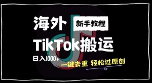 2024最新海外TikTok搬运玩法，一键去重轻松过原创，新手无经验也能日入1k【揭秘】-一起网赚吧