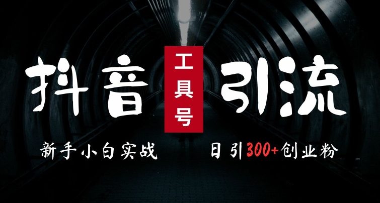 2024最新抖音工具号引流玩法，高效日引300+创业粉，当天变现5k，小白也可成为实战高手-一起网赚吧