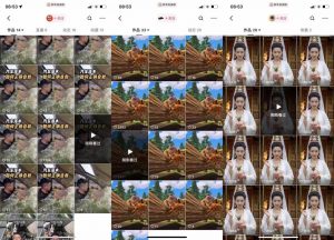 狗熊岭快手连怼技术，好物，涨粉都可以连怼-一起网赚吧