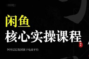 2024闲鱼核心实操课程，从养号、选品、发布、销售，教你做一个出单的闲鱼号-一起网赚吧