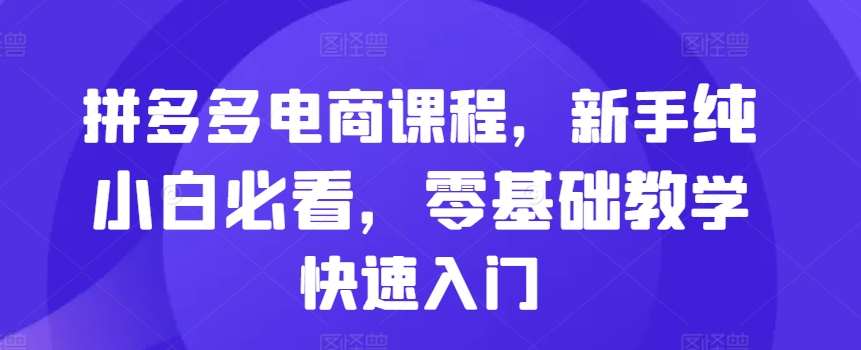 拼多多电商课程，新手纯小白必看，零基础教学快速入门-一起网赚吧