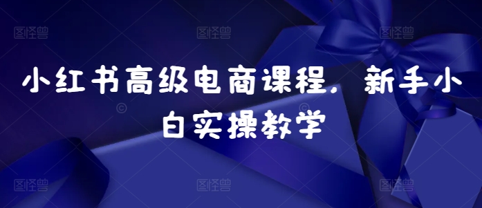小红书高级电商课程，新手小白实操教学-一起网赚吧