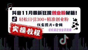 抖音11月最新狂揽创业粉秘籍，轻松日引300+精准创业粉，仅需图片+音频，轻松搞定创业类视频-一起网赚吧