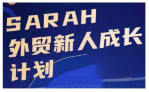 外贸新人成长计划，外贸新人学起来，偷偷让自己变强大-一起网赚吧