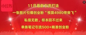小红书11月最新图片打粉，一张图片引爆创业粉，“预算4980带我飞”，单条引流500+精准创业粉-一起网赚吧