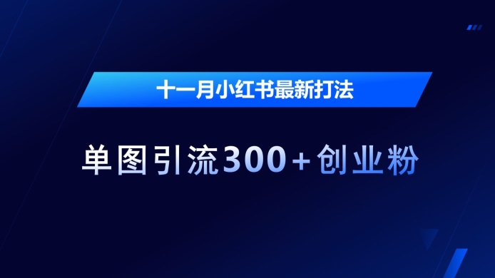 十一月小红书最新打法，单图引流300+创业粉【揭秘】-一起网赚吧
