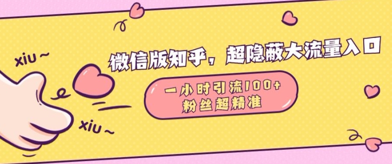 微信版知乎，超隐蔽流量入口1小时引流100人，粉丝质量超高【揭秘】-一起网赚吧