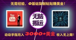 无需经验，0基础复制粘贴赚美刀，动动手指，月入3000+刀，无上限【揭秘】-一起网赚吧