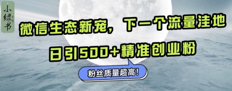 微信生态新宠小绿书：下一个流量洼地，日引500+精准创业粉，粉丝质量超高-一起网赚吧