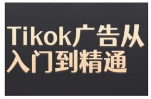 Tiktok Ads实操教程，Tiktok广告从入门到精通-一起网赚吧