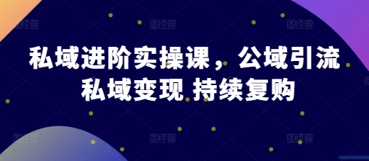 私域进阶实操课，公域引流 私域变现 持续复购-一起网赚吧