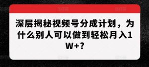 深层揭秘视频号分成计划，为什么别人可以做到轻松月入1W+?-一起网赚吧
