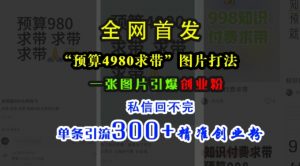 小红书“预算4980带我飞”图片打法，一张图片引爆创业粉，私信回不完，单条引流300+精准创业粉-一起网赚吧