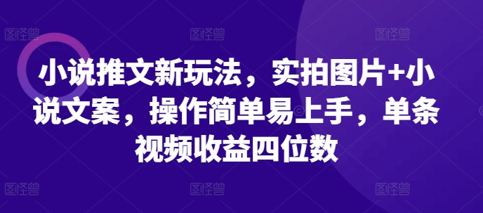 小说推文新玩法，实拍图片+小说文案，操作简单易上手，单条视频收益四位数-一起网赚吧