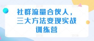 社群流量合伙人，三大方法变现实战训练营-一起网赚吧