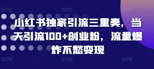 小红书独家引流三重奏，当天引流100+创业粉，流量爆炸不愁变现【揭秘】-一起网赚吧