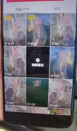 外面卖399的国学佛像原创暴力起号技术，快速起号，7天可达到一个万粉号-一起网赚吧