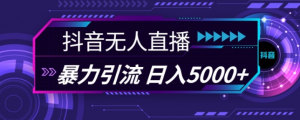 抖音快手视频号全平台通用无人直播引流法，利用图片模板和语音话术，暴力日引流100+创业粉【揭秘】-一起网赚吧