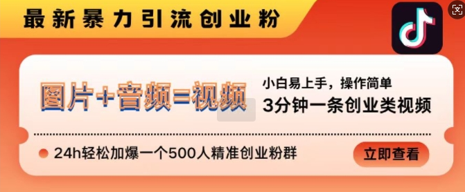抖音最新暴力引流创业粉，3分钟一条创业类视频，24h轻松加爆一个500人精准创业粉群【揭秘】-一起网赚吧