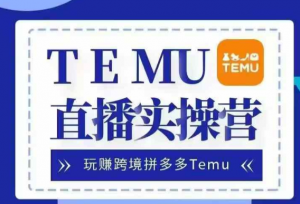 Temu直播实战营，玩赚跨境拼多多Temu，国内电商卷就出海赚美金-一起网赚吧