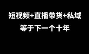 短视频+直播带货+私域等于下一个十年,大佬7年实战经验总结-一起网赚吧