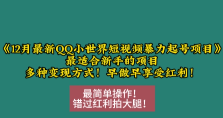 12月最新QQ小世界短视频暴力起号项目，最适合新手的项目，多种变现方式-一起网赚吧