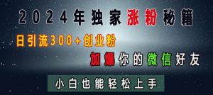 2024年独家涨粉秘籍，日引流300+创业粉，加爆你的微信好友，小白也能轻松上手-一起网赚吧