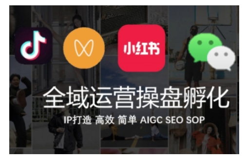 全域运营操盘(抖音+私域+小红书)，IP打造高效简单-一起网赚吧