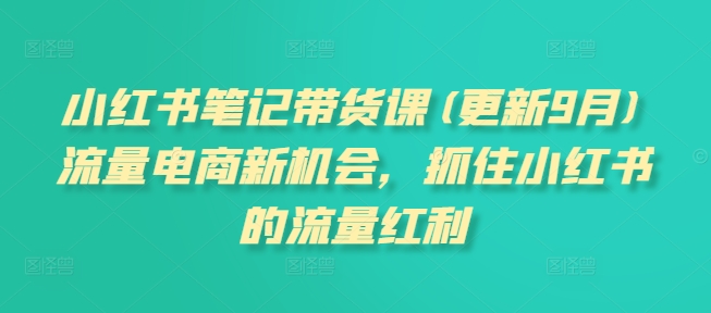 小红书笔记带货课(更新12月)流量电商新机会，抓住小红书的流量红利-一起网赚吧